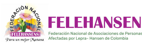 Logo_felehansen